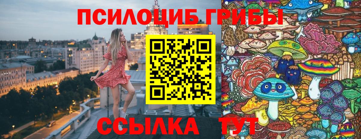 Псков  дарнет шоп  Вход с VPN  Псилоцибиновые грибы Psilocybine cubensis 